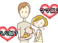 パパ似ママ似