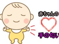 赤ちゃんの手の匂い