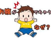 お腹が出る