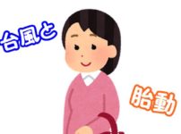 胎動が激しいのは台風のせい